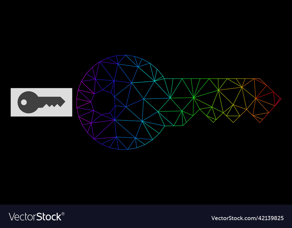 Rainbow gradiented polygonal net key icon