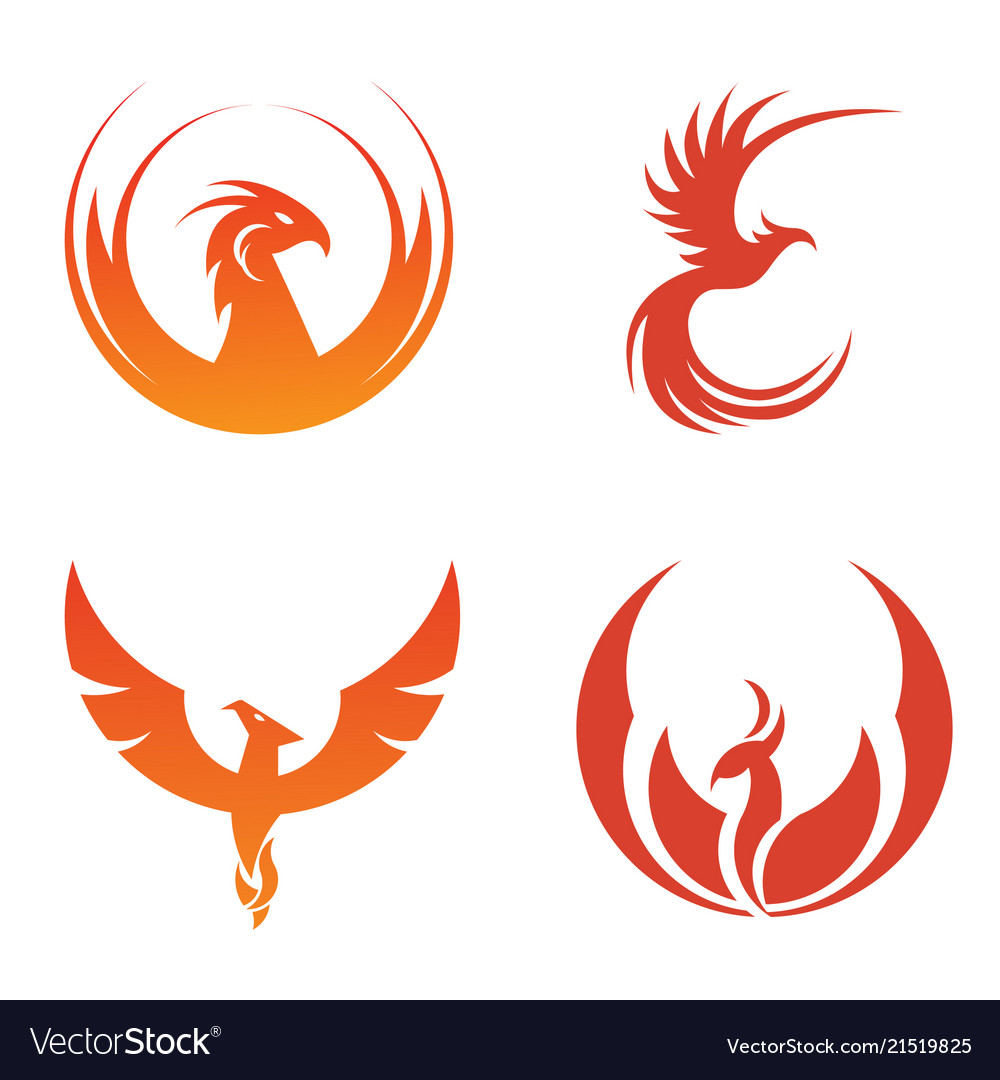 Red bird set image