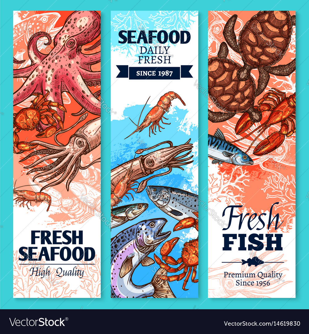 Fresh Fish And Seafood Sketch Banner Set Vector Image