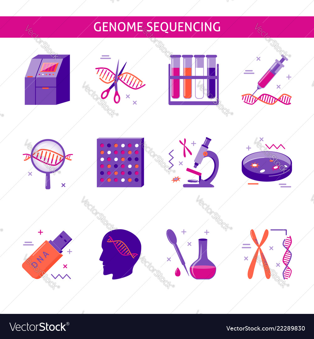 Genome research icon set in flat style Royalty Free Vector