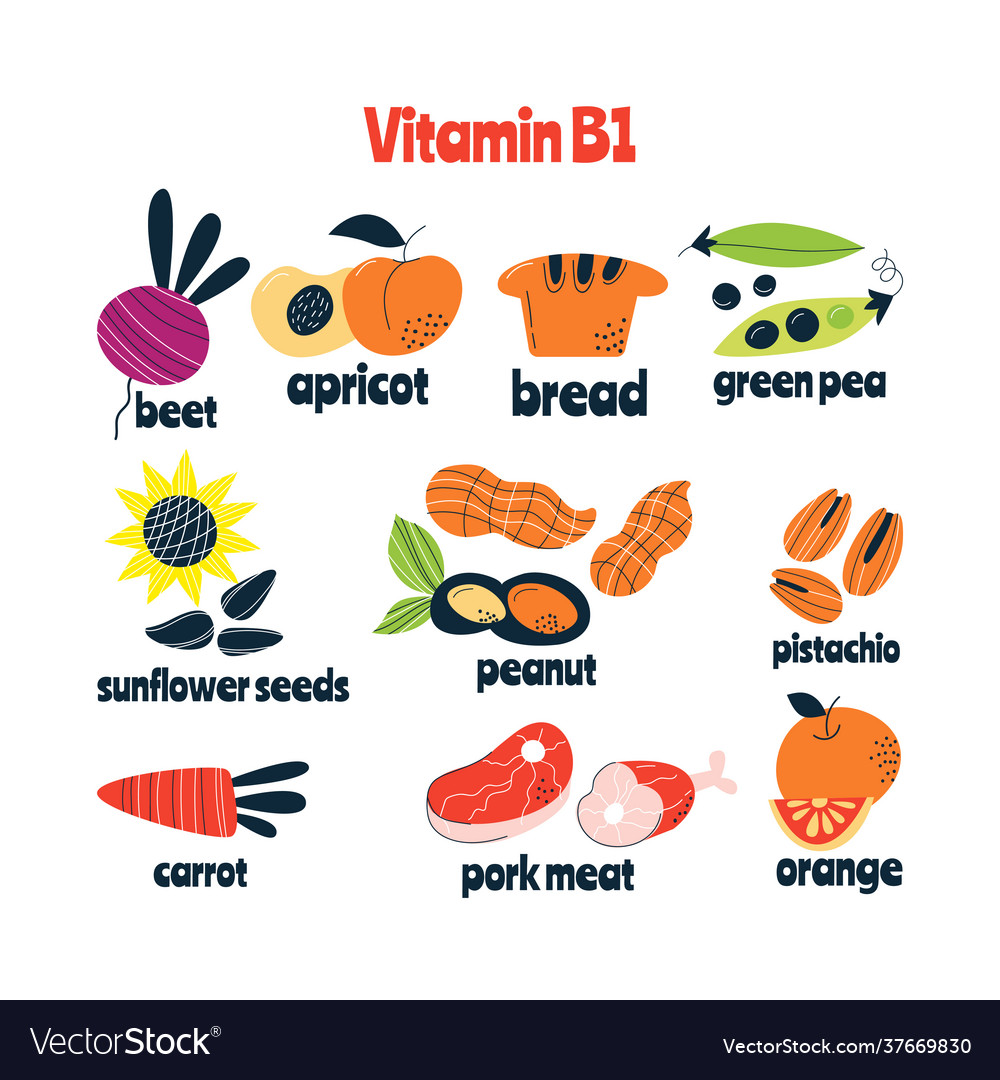 Vitamin B1 Benefits Deficiency And Foods Daniel Functional 52 OFF