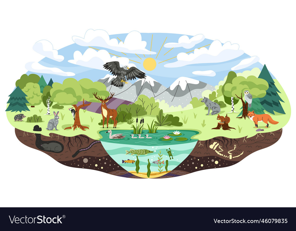 Concept of ecosystem Royalty Free Vector Image