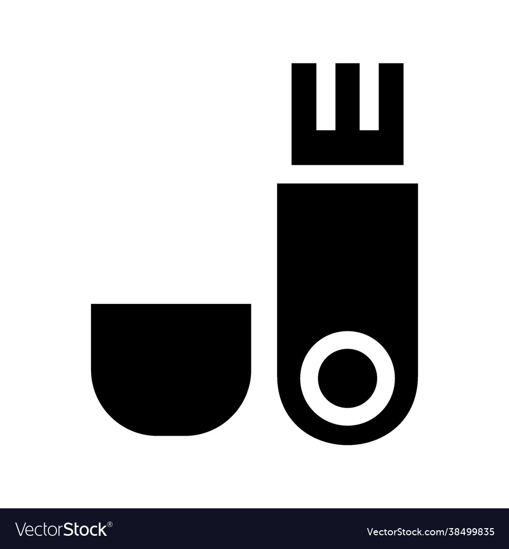 Flash disk icon vector image Flash disk icon