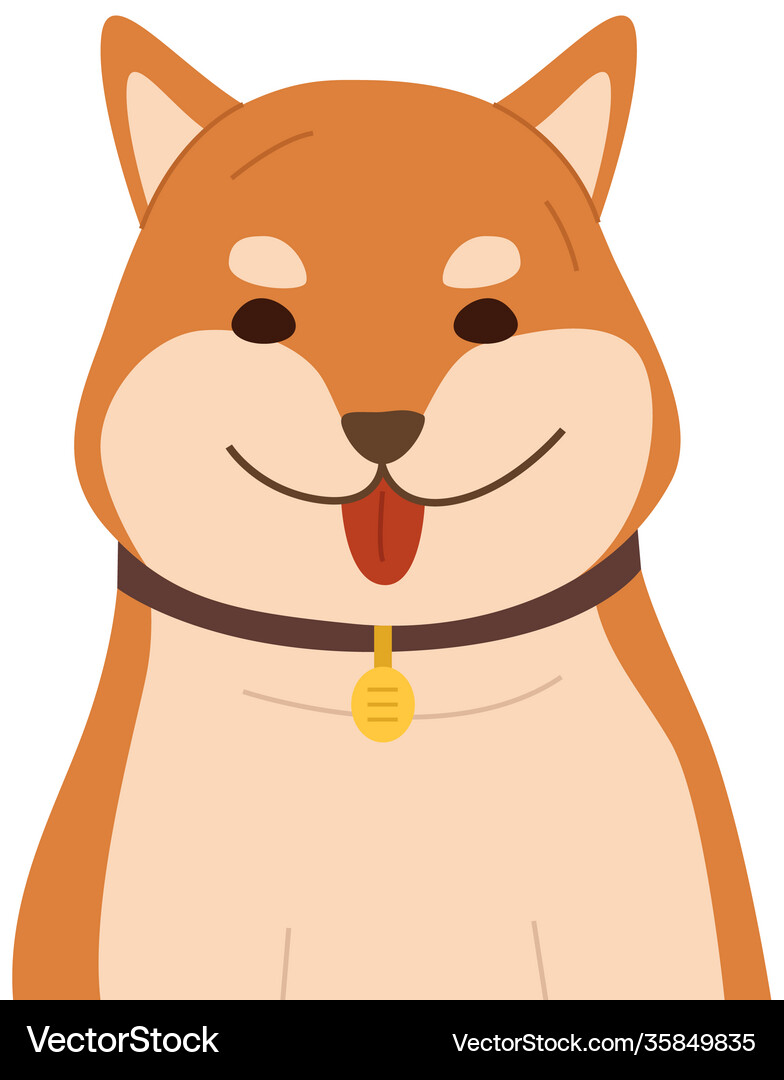 Ginger dog is sitting isolated on white background
