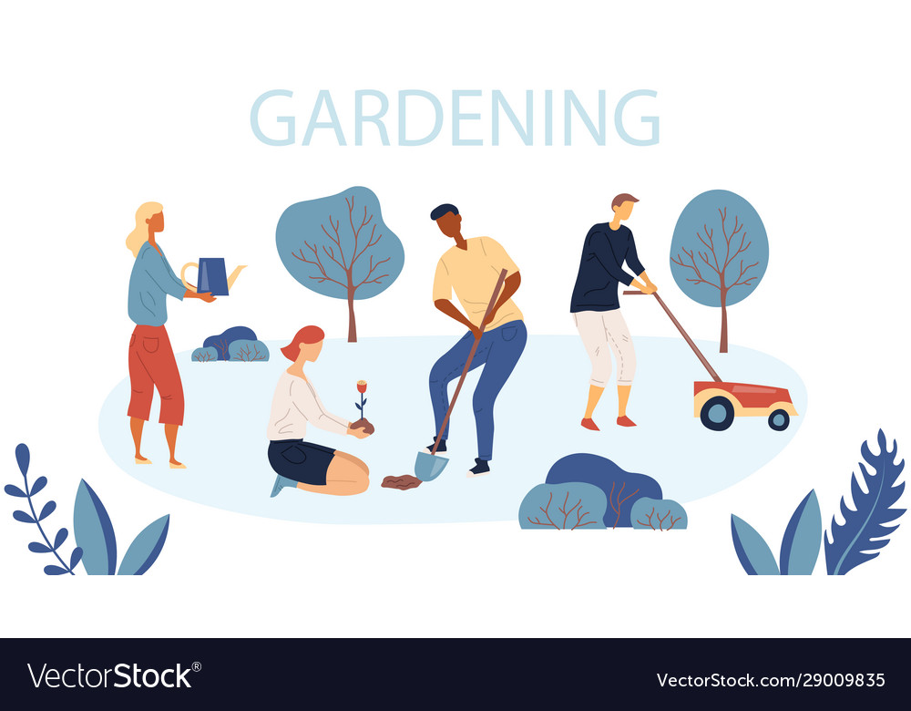 People gardening woman and man are planting Vector Image