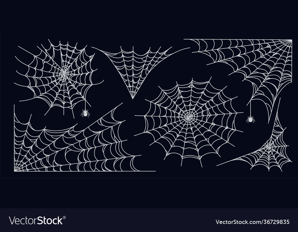 Spider web set isolated on dark background spooky vector image Spider web set isolated on dark background spooky