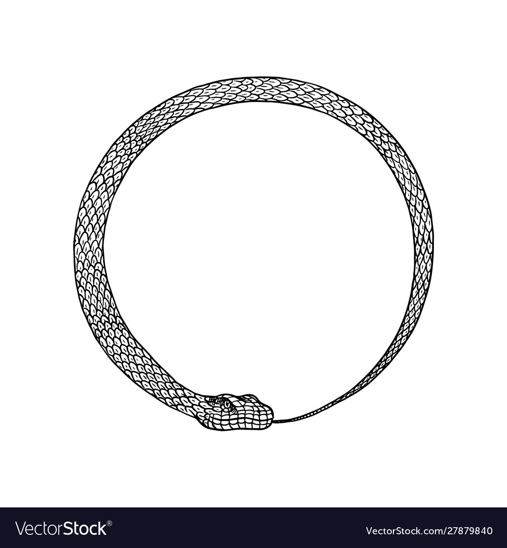 The Symbol Of Ouroboros Snake Stock Vector Illustration Of Religion ...