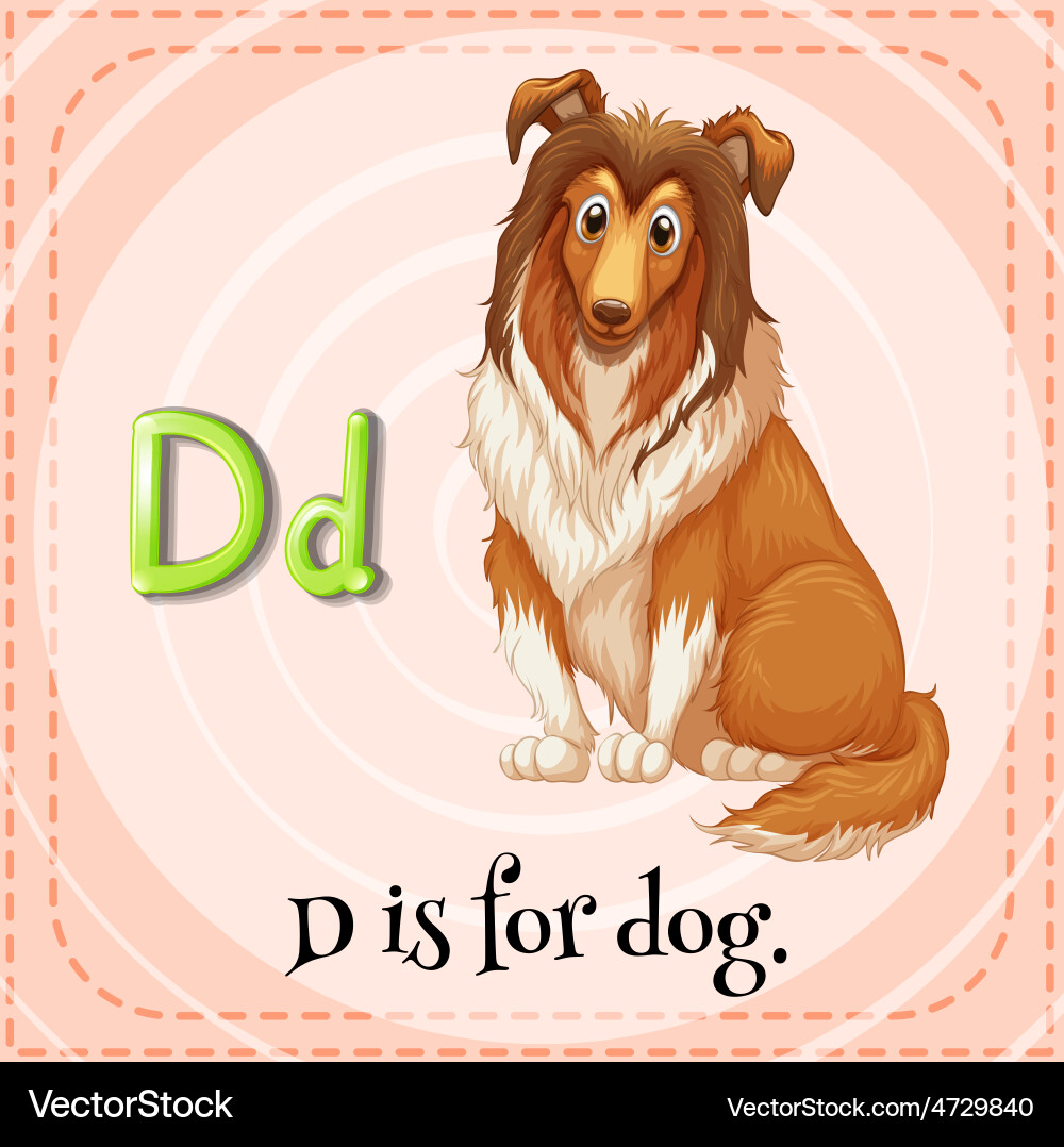 Flashcard D Royalty Free Vector Image - VectorStock