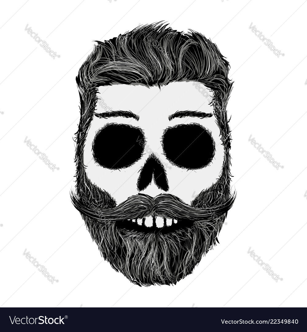 Sketch of human skull with a mustache and beard vector image Sketch of human skull with a mustache and beard