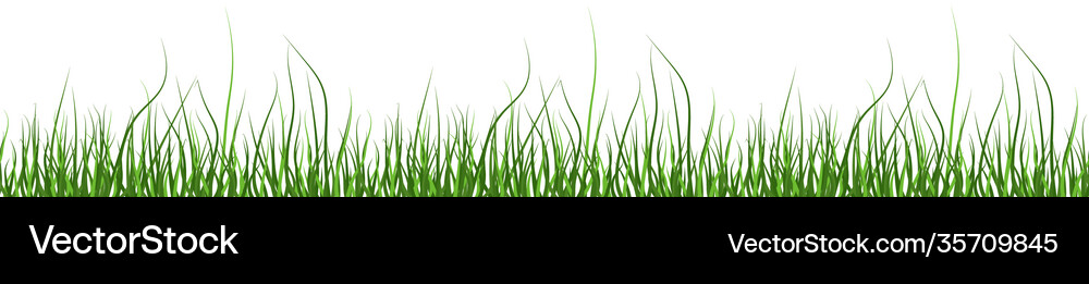 Multicolor green grass seamless pattern from left Vector Image