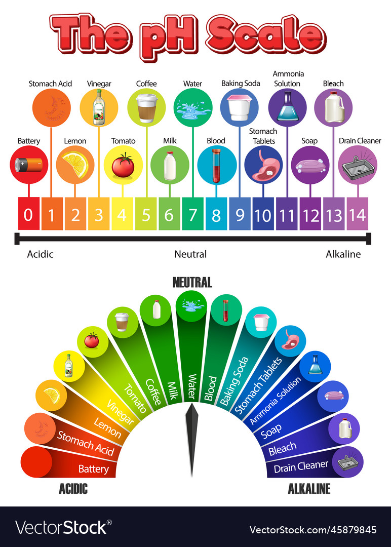 Ph scale of common chemicals Royalty Free Vector Image