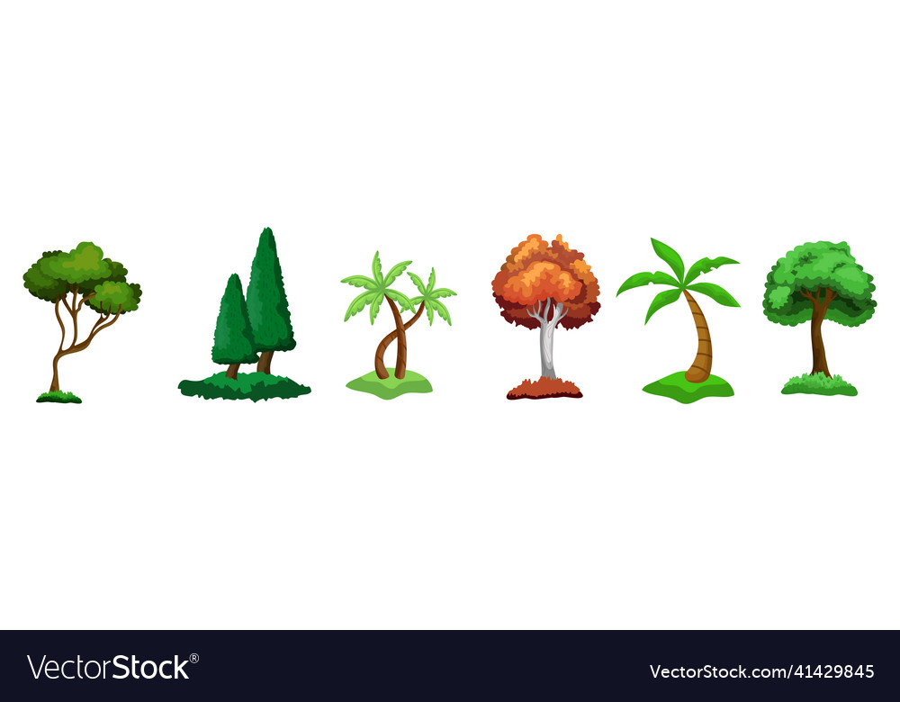 Set of 6 different trees on a white background