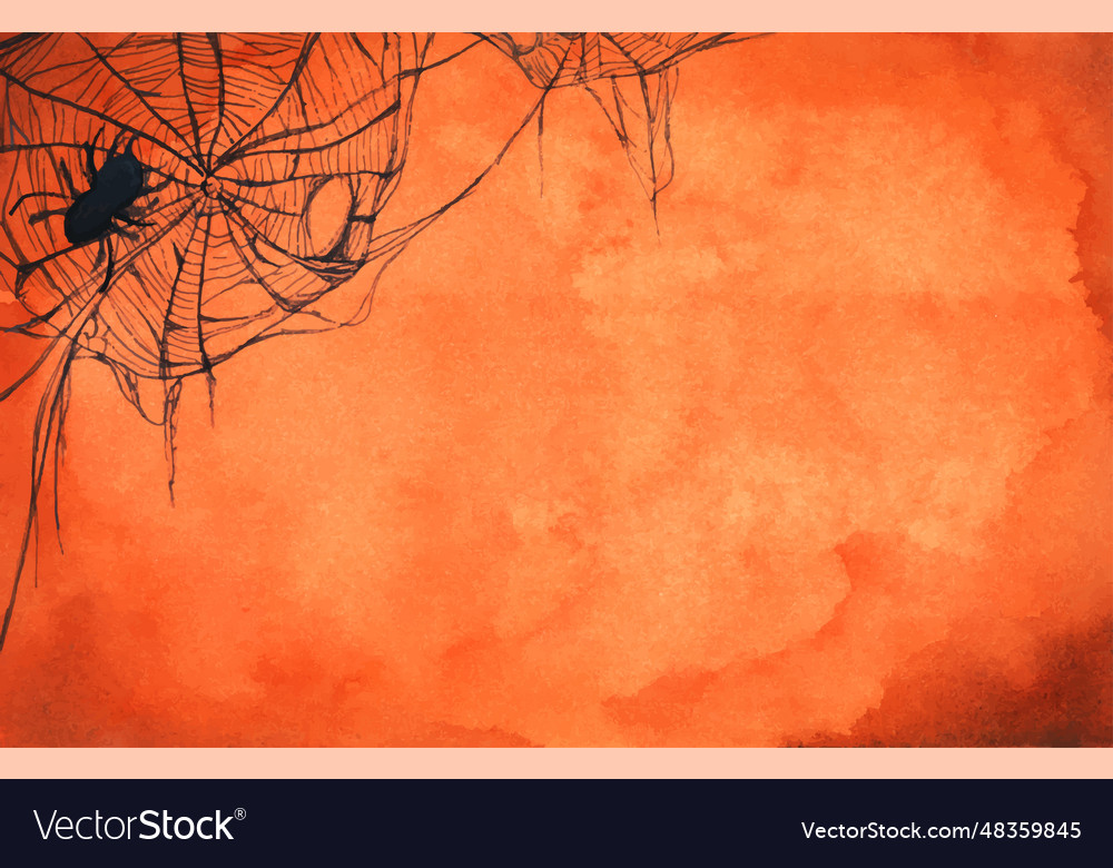 Watercolor painting of spider web Royalty Free Vector Image