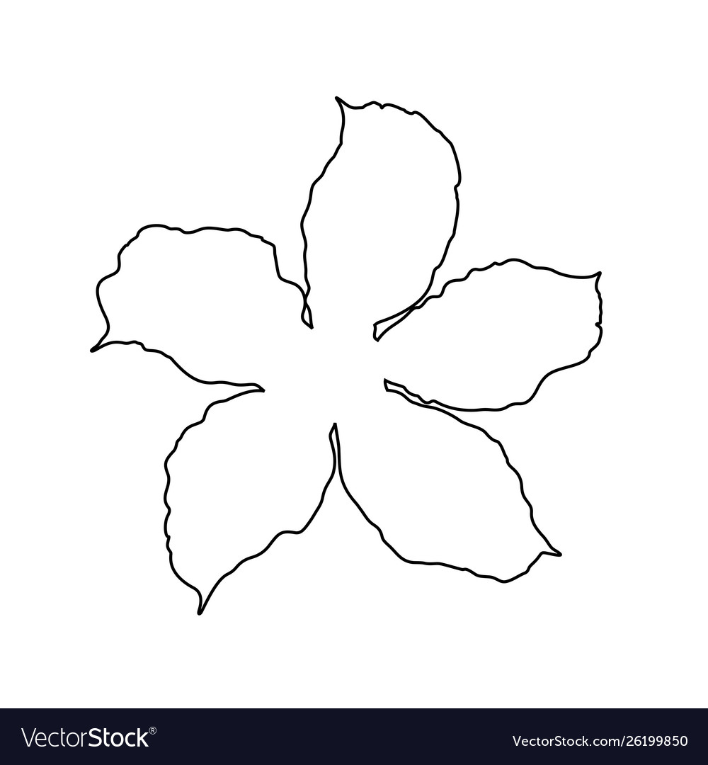 Adenium Blume Linie Kunst Stil vector image Adenium Blume Linie Kunst Stil
