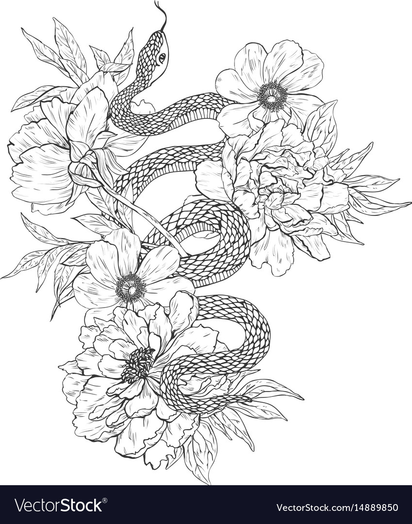 Snakes And Flowers Tattoo Art Coloring Books Vector Image