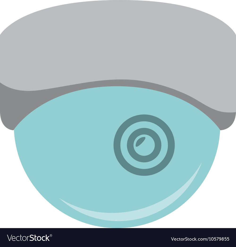 Camera security system
