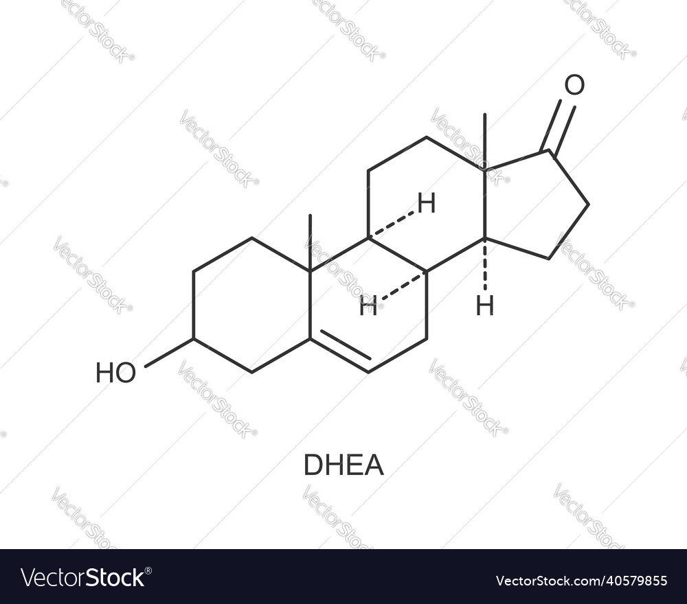 Dhea icon dehydroepiandrosterone hormone chemical