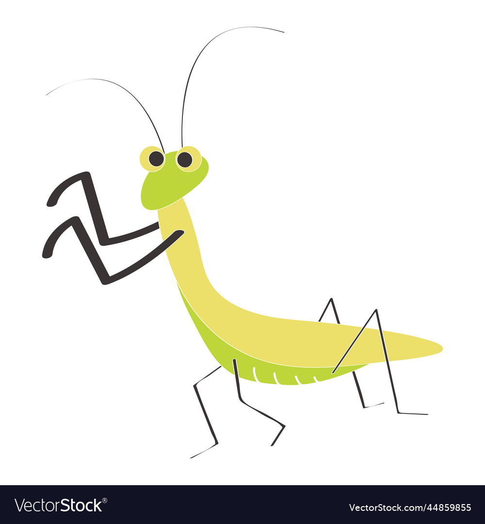 Grasshopper element Vector Image Grasshopper element