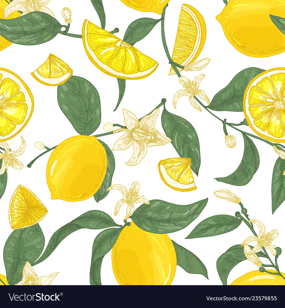 Lemon & Citrus Floral Pattern