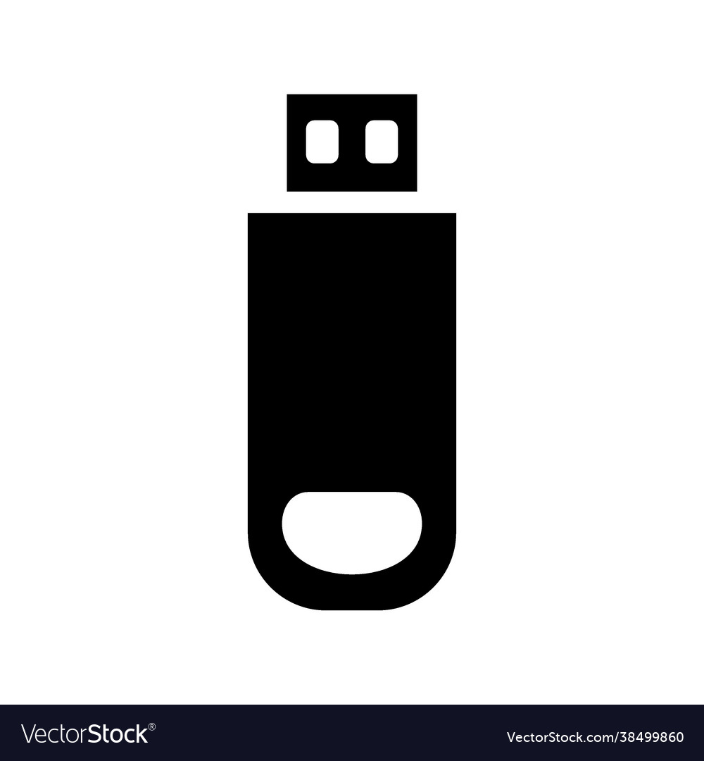 Flash disk icon vector image Flash disk icon