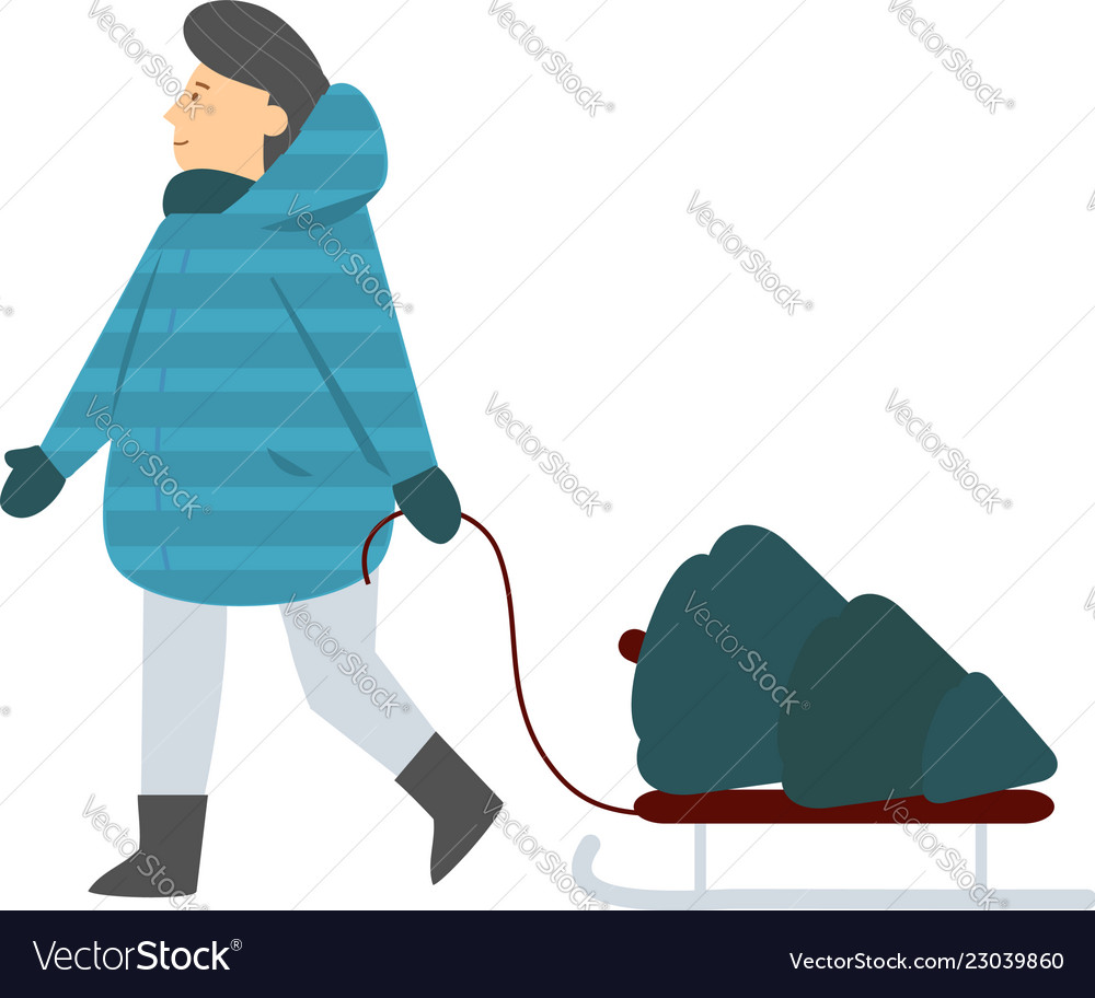 Man carry spruce tree on sledge new year