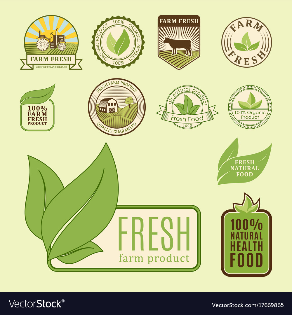 Bio Farm Organic Eco Healthy Food Templates And Vector Image