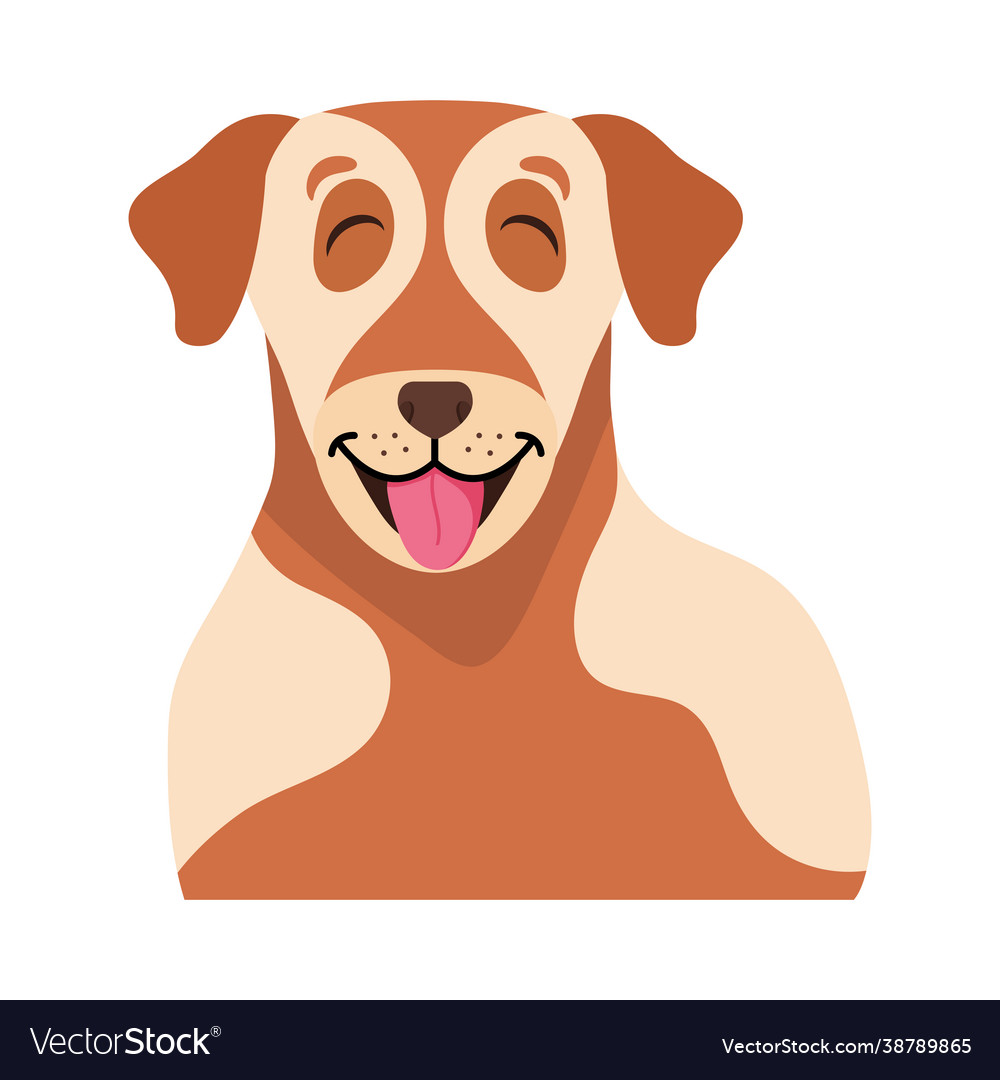 Face brown dog Royalty Free Vector Image - VectorStock