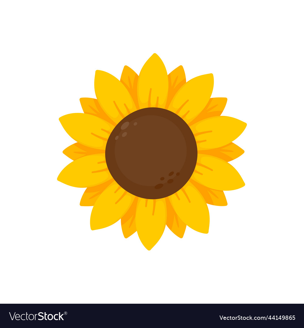 Yellow sunflowers bloom in spring for decorating Vector Image