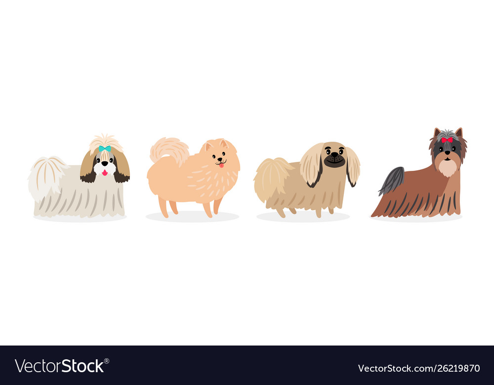 Süße Langarm-Hunde