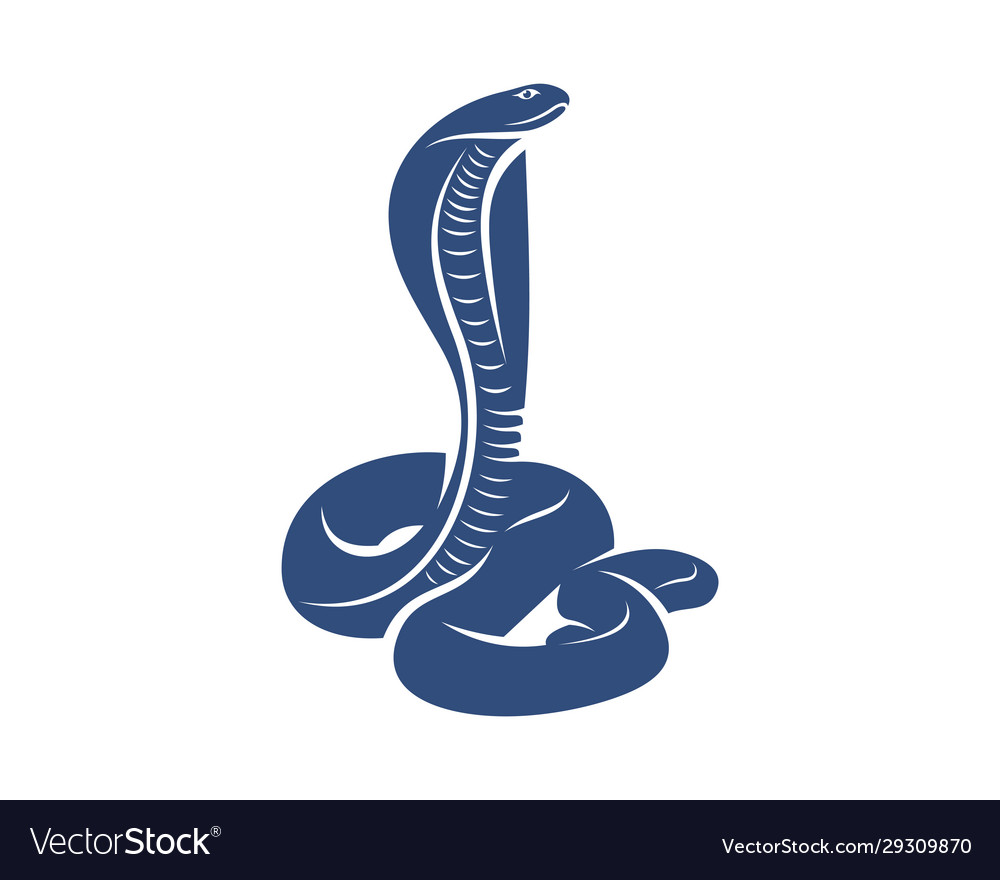 Vector illustration of stylized snake cobra on the dark blue abstract  background. Stock Vector