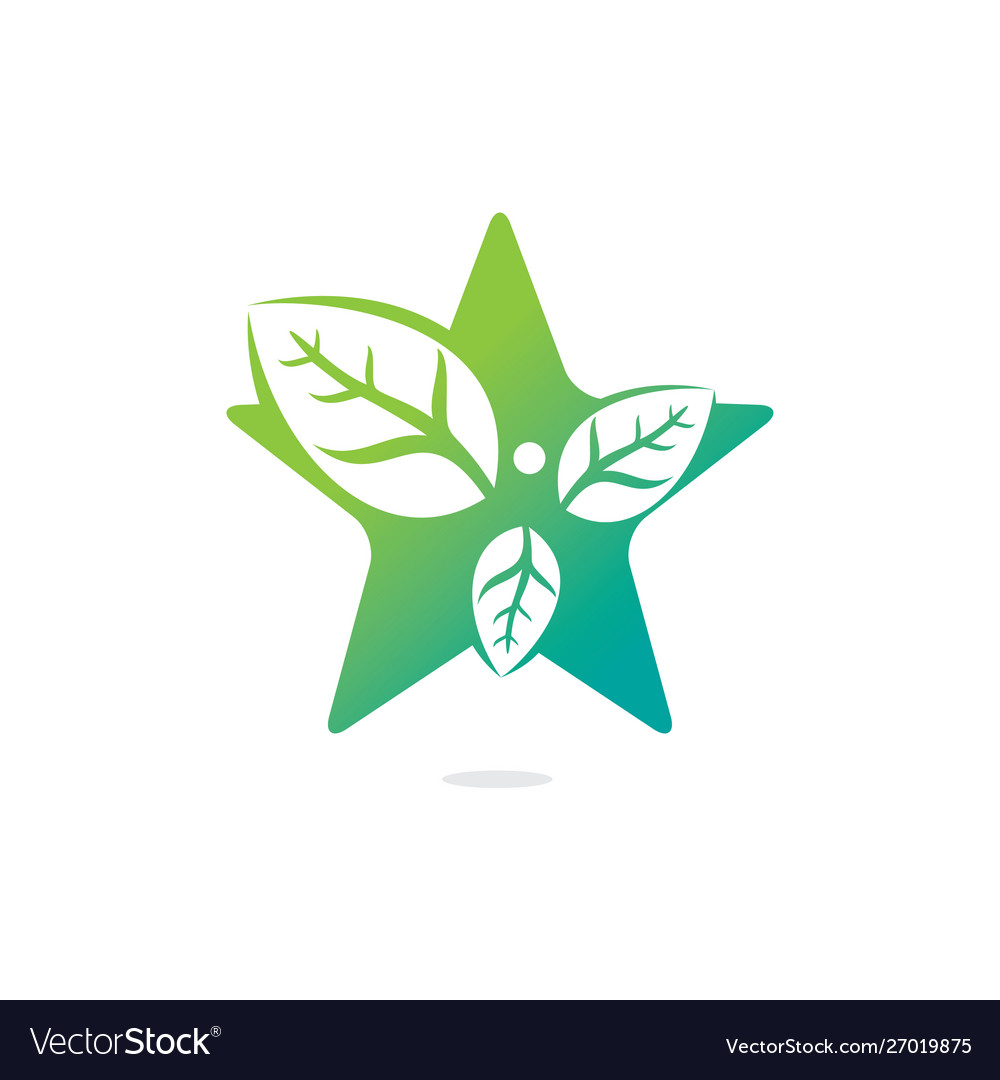 Healthy man and leaves star shape figure Vector Image