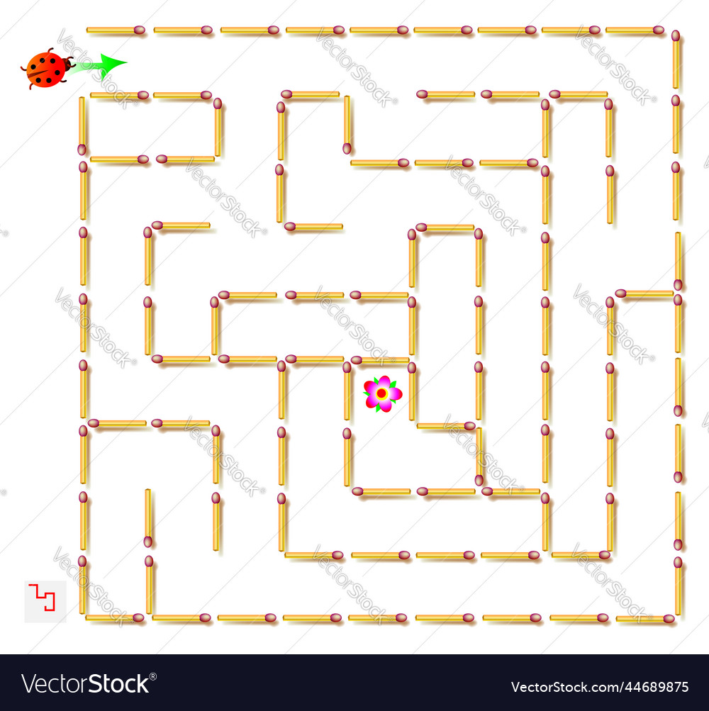 Labyrinth Puzzle with Ladybird