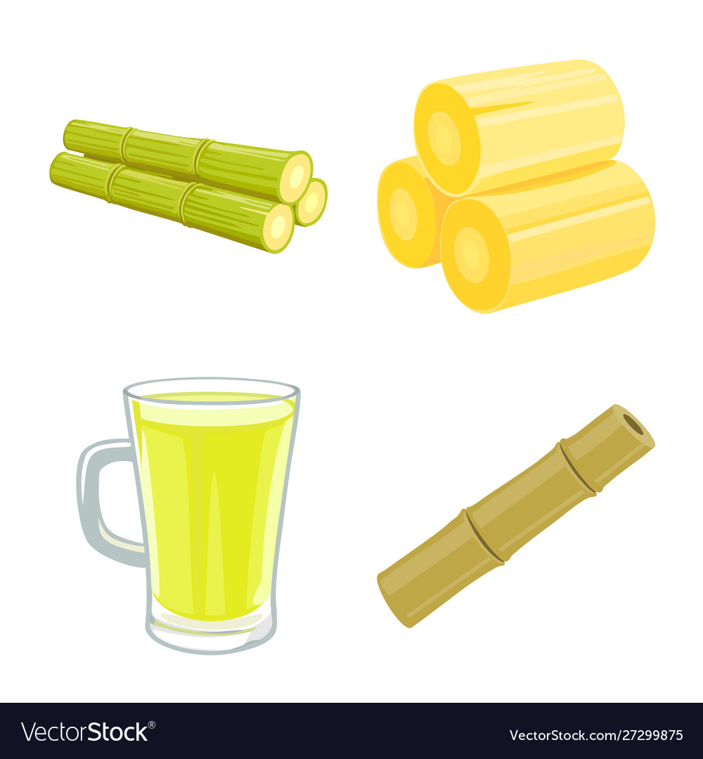 Sugarcane and plant icon