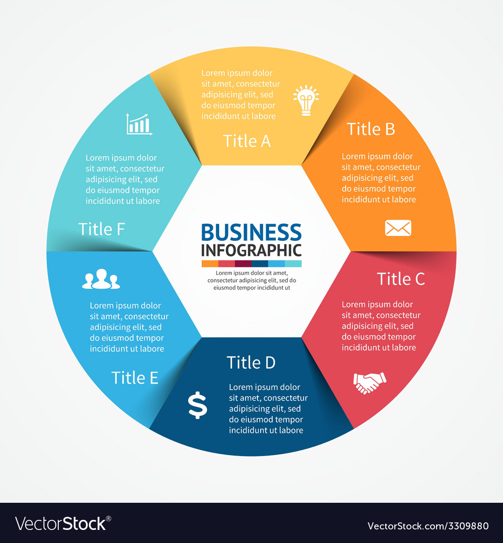 Circle infographic template for diagram graph Vector Image