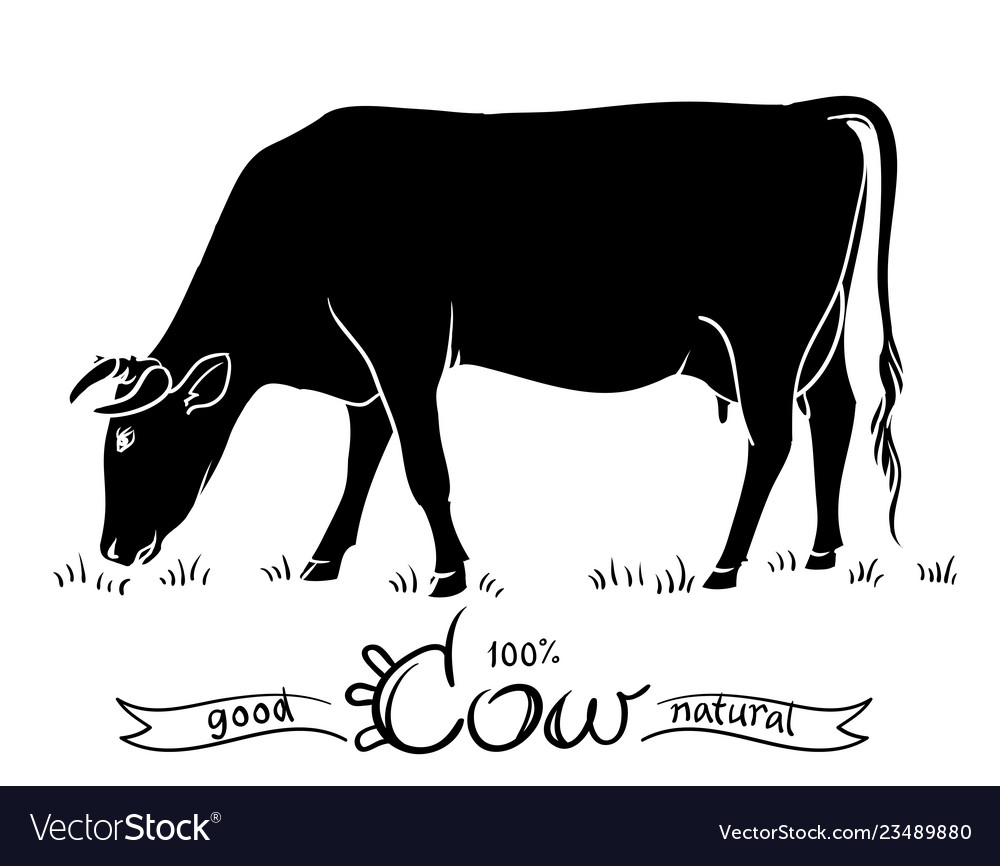 Cow isolated black and white silhouettes of a Vector Image