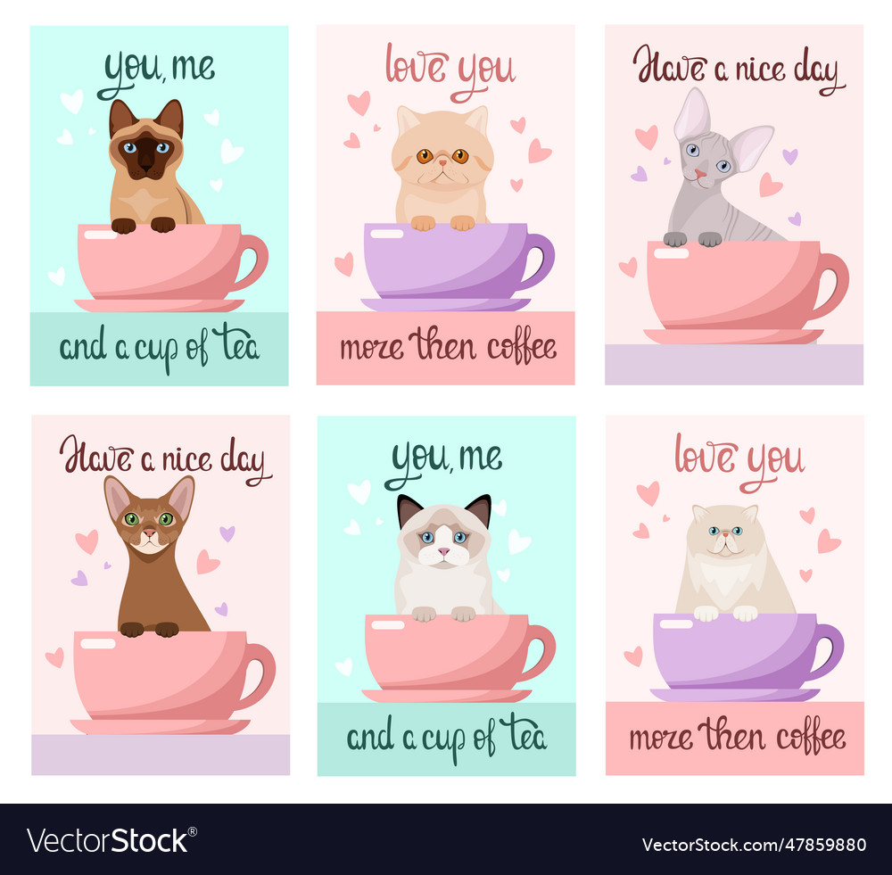 Funny Cats Royalty Free Vector Image Vectorstock Funny Cats Royalty Free Vector Image Vectorstock
