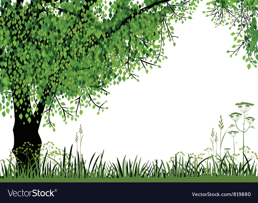 Nature background Royalty Free Vector Image - VectorStock