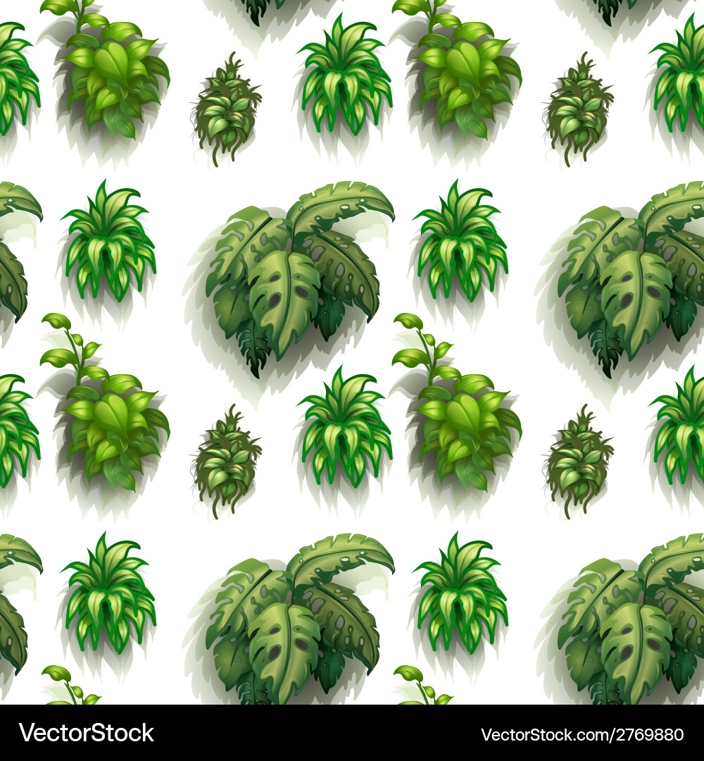 Seamless plants Royalty Free Vector Image - VectorStock
