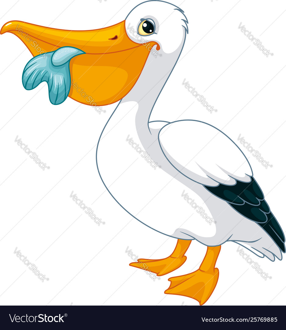 Cartoon pelican Royalty Free Vector Image - VectorStock