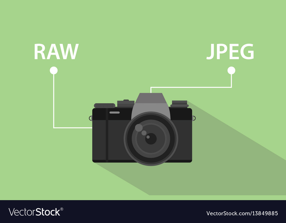 Comparing format file camera between raw format Vector Image