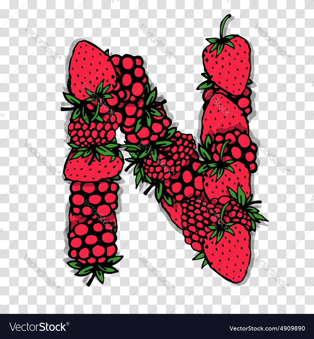 Letter N made from red berries sketch for your Vector Image