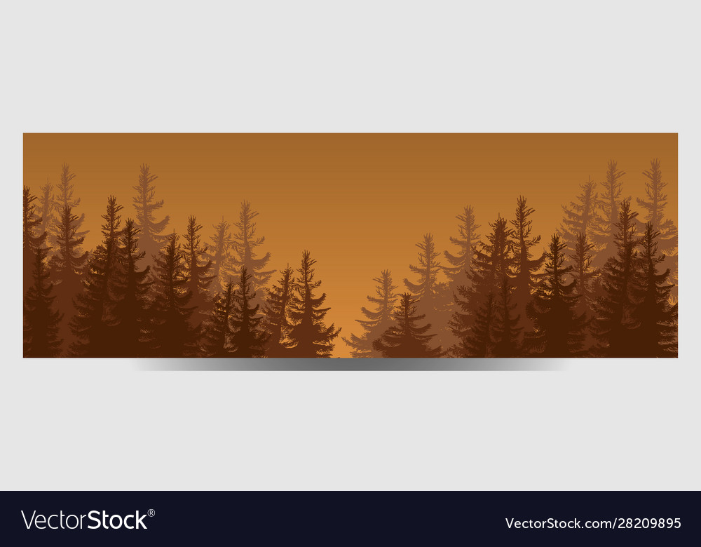 Coniferous forest travel infographic