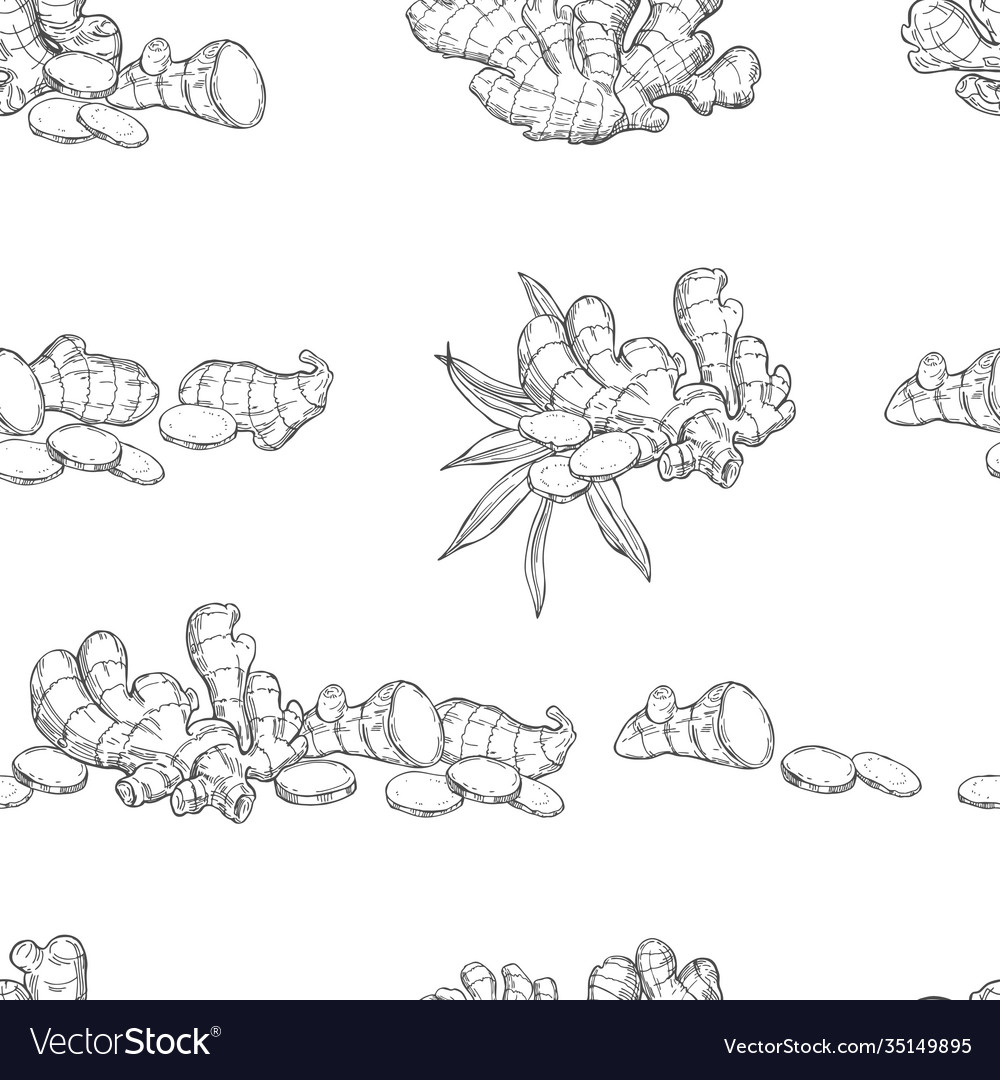 Pattern with ginger root