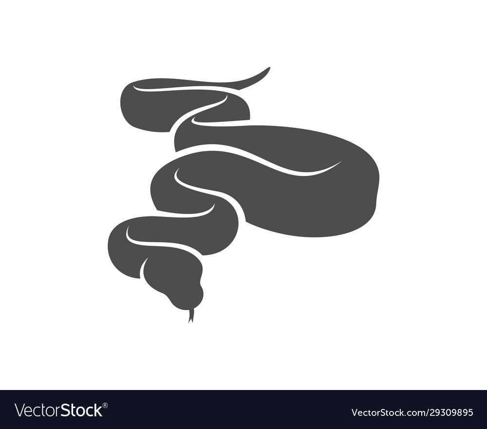 Python snake logo animal graphic design Royalty Free Vector