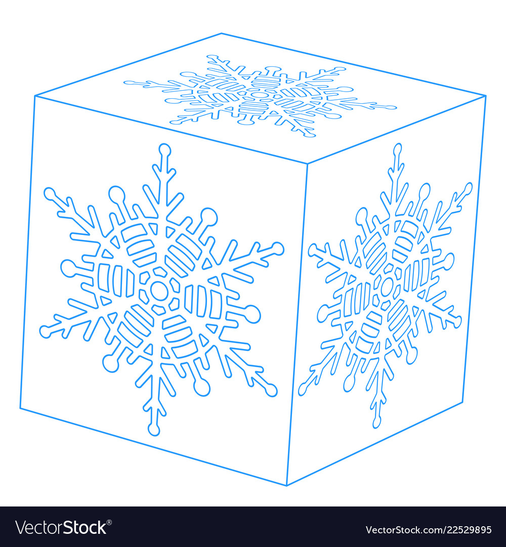 Snowflake cube