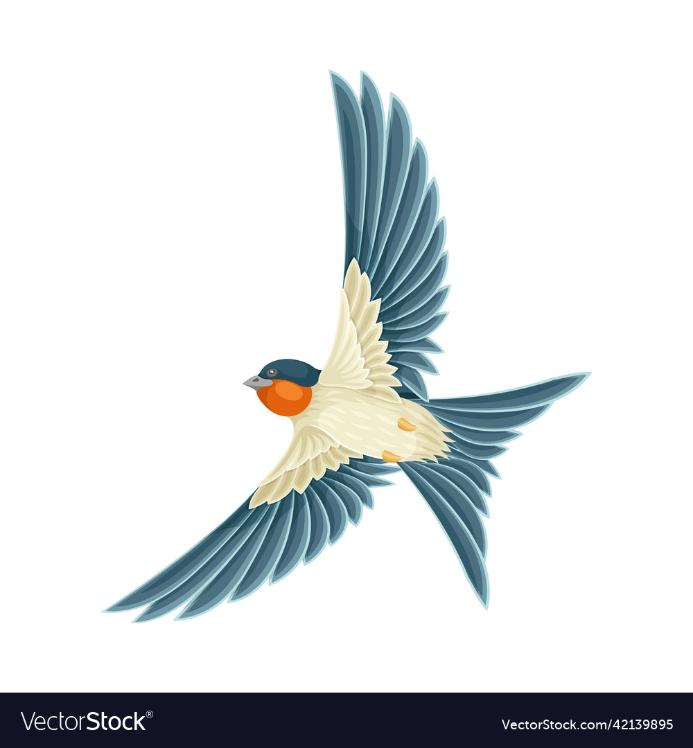 Swallow or martin passerine bird with long tail