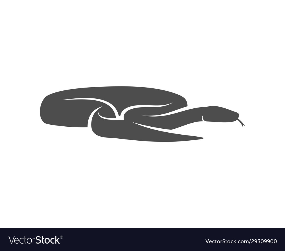 Python snake logo animal graphic design Royalty Free Vector