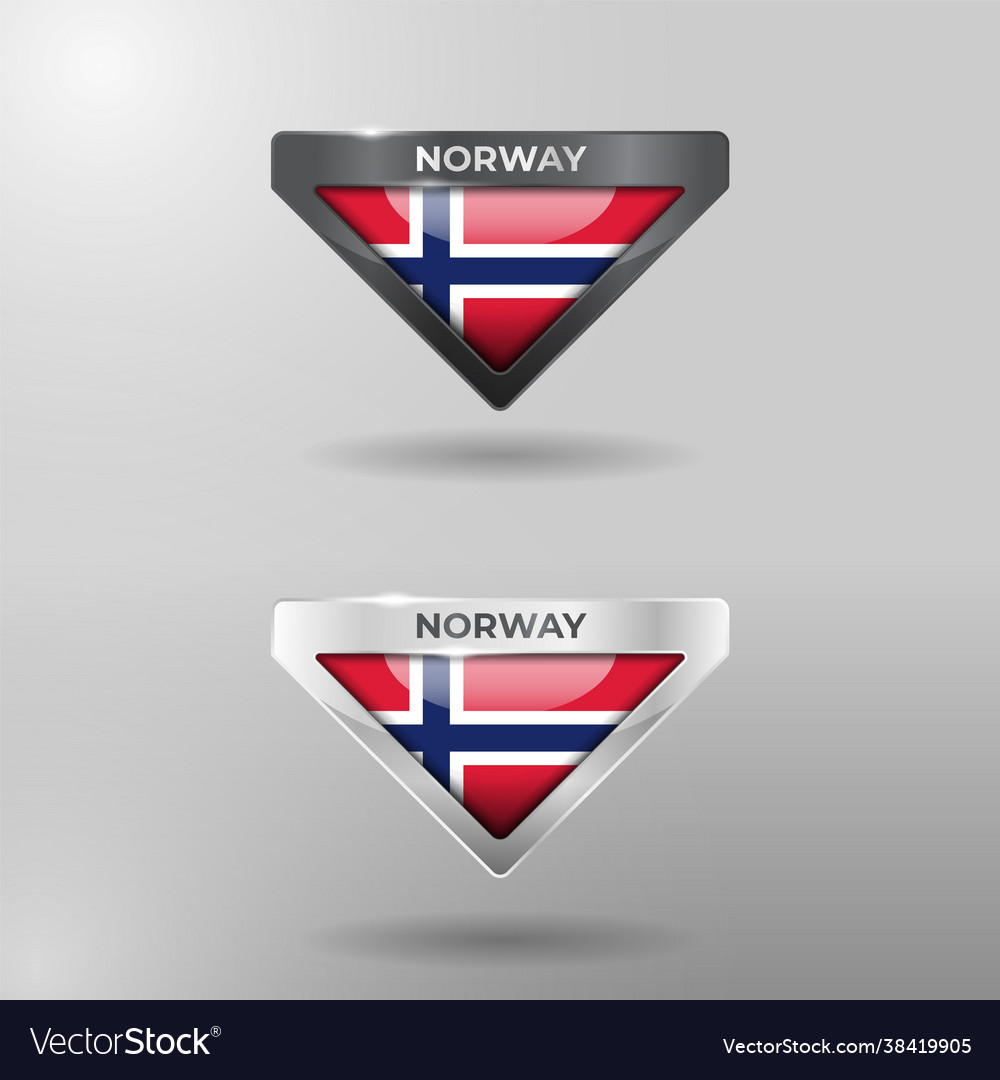 3d label tag and location pointer flag nation vector image 3d label tag and location pointer flag nation