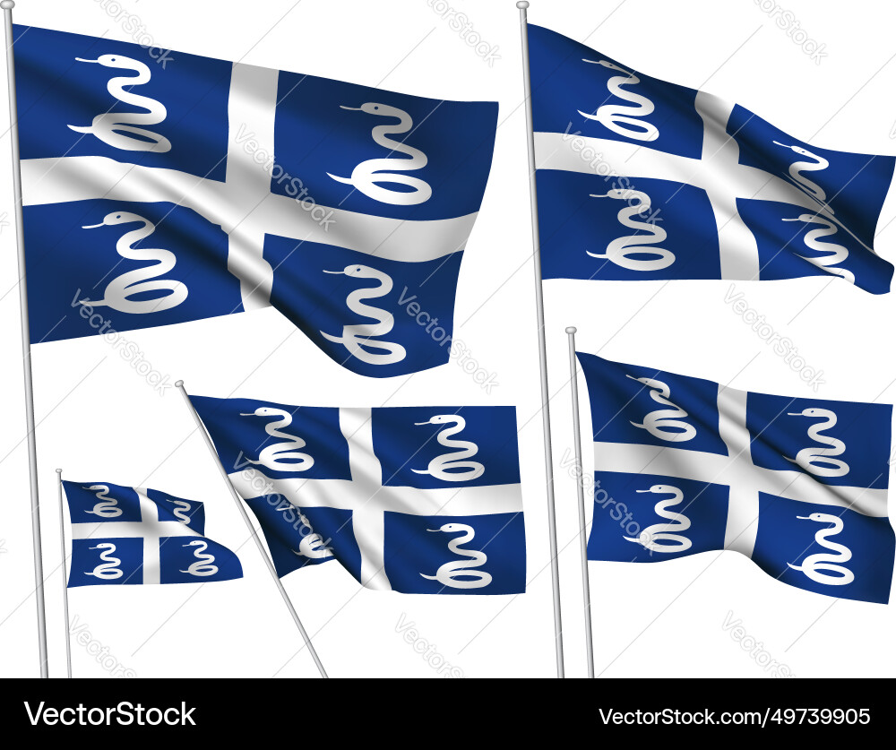Flags of martinique Royalty Free Vector Image VectorStock