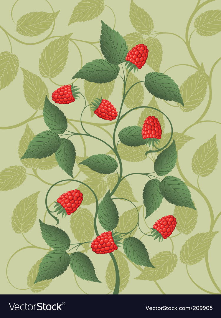 Raspberry Floral Pattern